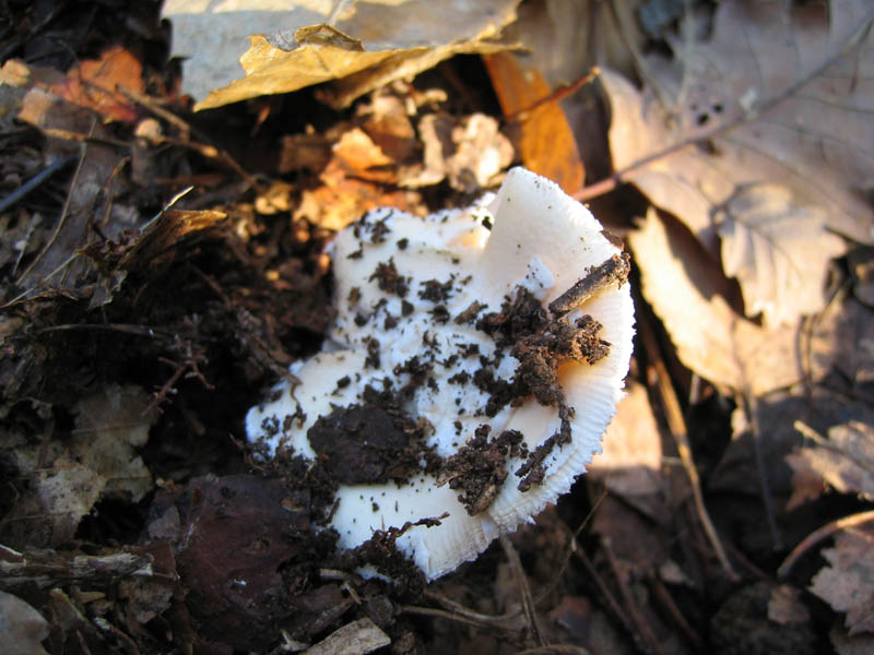 Escursione del  sabato pomeriggio